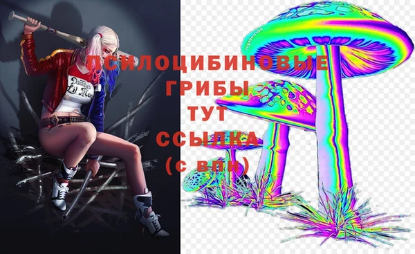 mdpv Бугульма
