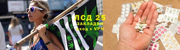 mdpv Богданович