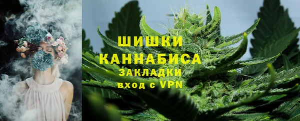 молекула духа Ижевск