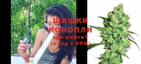 mdpv Богданович
