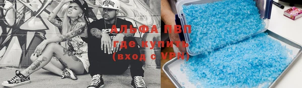 не бодяженный Бородино